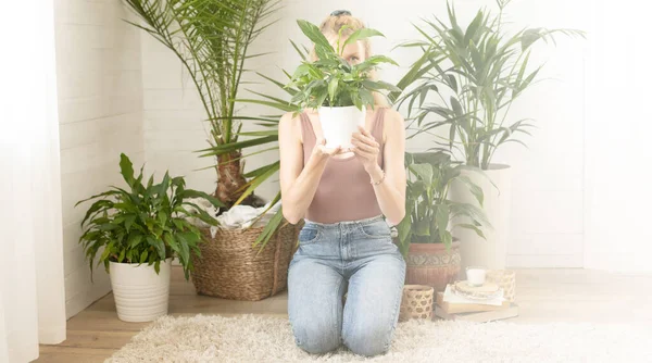 Junge Frau Hält Grüne Pflanze Vor Ihr Gesicht Home Gardening — Stockfoto