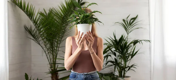 Νεαρή Γυναίκα Που Κρατάει Πράσινο Φυτό Μπροστά Στο Πρόσωπό Της — Φωτογραφία Αρχείου