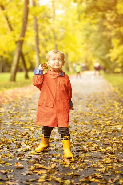 穿着雨衣的高加索小男孩和秋天公园里在户外玩耍的黄井小伙 — 图库照片