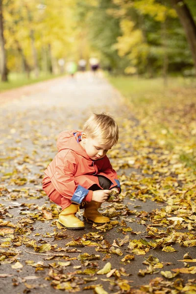 小さなCaucasian男の子でTedレインコートと黄色のウェリントン遊び屋外で秋の公園 — ストック写真