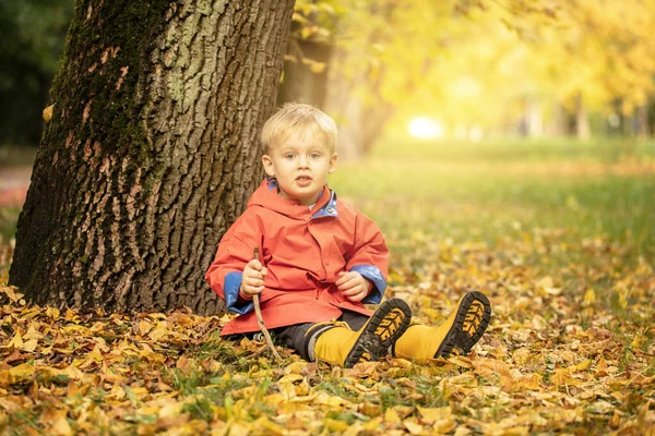 小さなCaucasian男の子でTedレインコートと黄色のウェリントン遊び屋外で秋の公園 — ストック写真