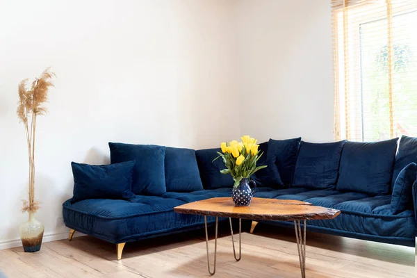 Stylish boho living room interior with design navy blue sofa, wooden handmade coffee table.Cozy apartment. Home decor