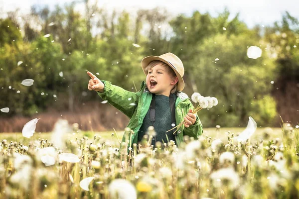 Adorável Menino Bonito Posando Com Flores Dente Leão Natureza Verão — Fotografia de Stock