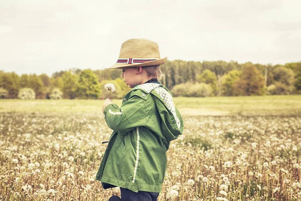 Förtjusande Söt Liten Pojke Poserar Med Maskros Blommor Naturen Sommaren — Stockfoto