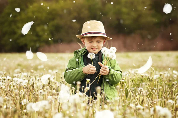 Roztomilý Roztomilý Chlapeček Pózuje Pampeliška Květiny Přírodě Létě — Stock fotografie