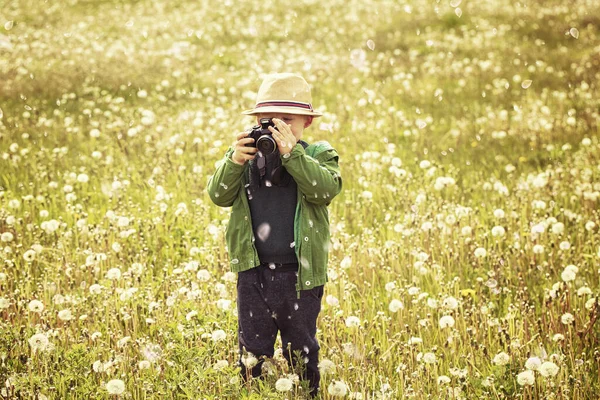 Roztomilý Roztomilý Chlapeček Pózující Pampeliška Květiny Přírodě Létě Kid Fotografování — Stock fotografie