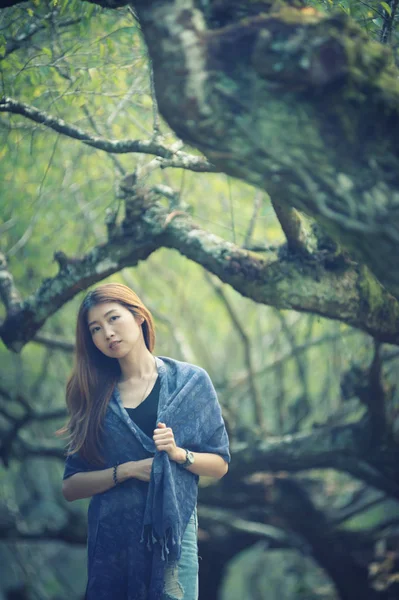 Ritratto Asia Belle Donne Sul Parco Susina Doi Angkhang Montagna — Foto Stock