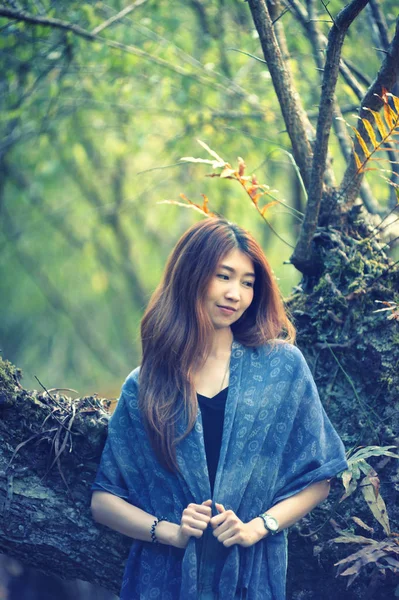 asia beautiful woman on plum tree park at doi angkhang mountain,