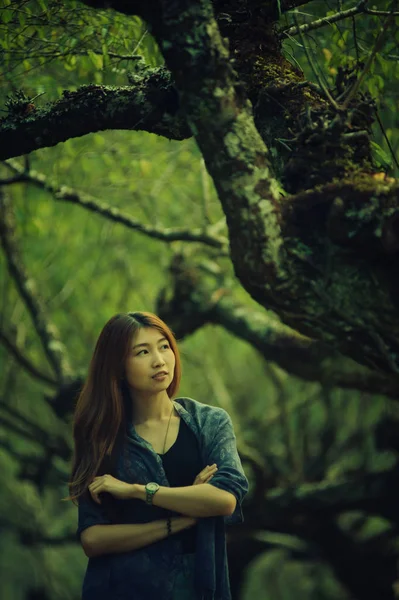 Asia mujer de pie en el Ciruela Jardín doi angkhang tailandés de montaña —  Fotos de Stock