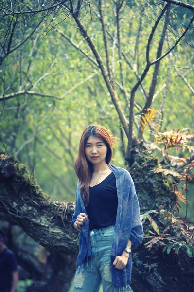 Asia mujer de pie en el Ciruela Jardín doi angkhang tailandés de montaña — Foto de Stock