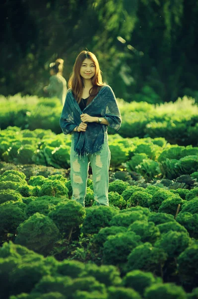 Azji kobieta turystycznych na warzyw gospodarstwa w angkhang mountain Thaila — Zdjęcie stockowe