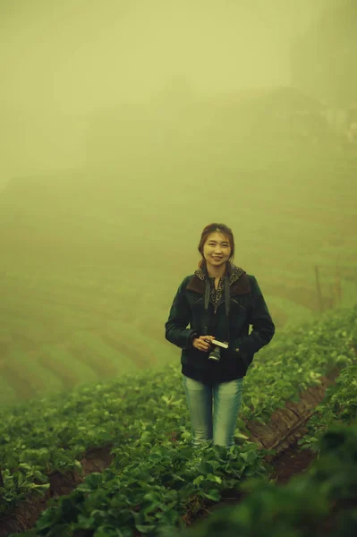 Asia Turystycznych Kobieta Farmie Truskawek Doi Angkhang Górskich Chiangmai Tajlandia — Zdjęcie stockowe