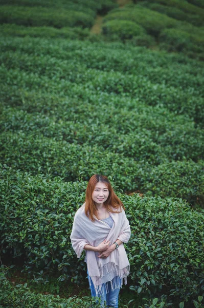 亚洲美丽的女人在清迈茵安康山茶叶种植园的肖像 — 图库照片
