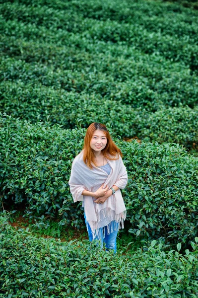 Hermosa chica en los campos de plantación de té en doi angkhang monte —  Fotos de Stock