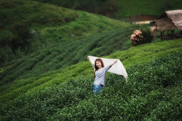 Turistas asiáticos mujer entre muchas plantaciones de té en doi angkhang —  Fotos de Stock