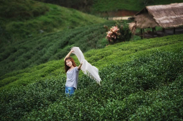Retrato de mujer feliz relajarse en la plantación de té doi angkhang mou —  Fotos de Stock