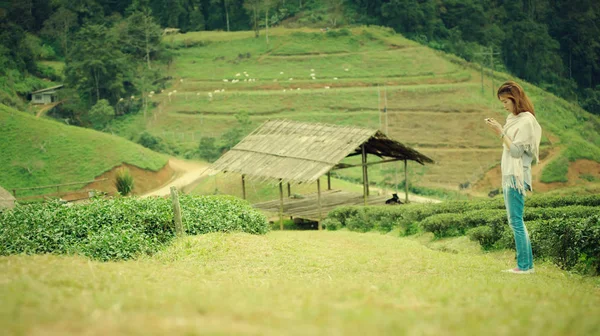 Ασιατικές τουρίστες γυναίκα στο αγρόκτημα φυτεία τσαγιού στο doi angkhang Μουν — Φωτογραφία Αρχείου