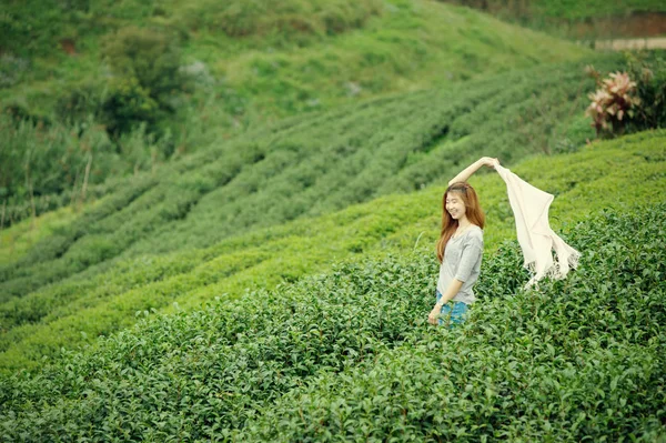 幸福的女人的肖像放松在茶种植园 doi 安康谅解备忘录 — 图库照片