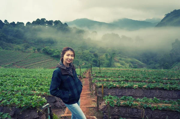 Ásia mulher turística na fazenda de morango no doi angkhang montanha a Imagem De Stock