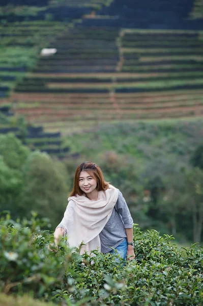 Mujer Hermosa Asiática Recogiendo Hojas Plantación Angkhang Montaña Chiangmai Tailandia —  Fotos de Stock