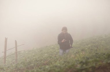 Asya turist kadın DOI angkhang Dağı'nda çilek gruptaki bir