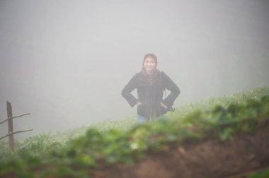 Asya turist kadın, chiangmai Tayland doi angkhang dağda çilek çiftlik