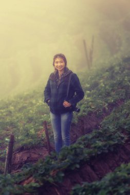 Asya turist kadın DOI angkhang Dağı'nda çilek gruptaki bir