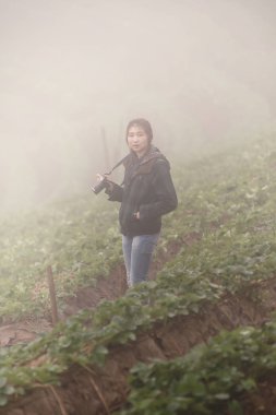 Asya turist kadın, chiangmai Tayland doi angkhang dağda çilek çiftlik