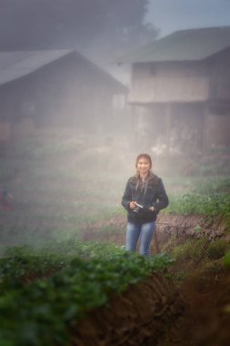 Asya turist kadın DOI angkhang Dağı'nda çilek gruptaki bir