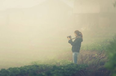 Asya turist kadın DOI angkhang Dağı'nda çilek gruptaki bir