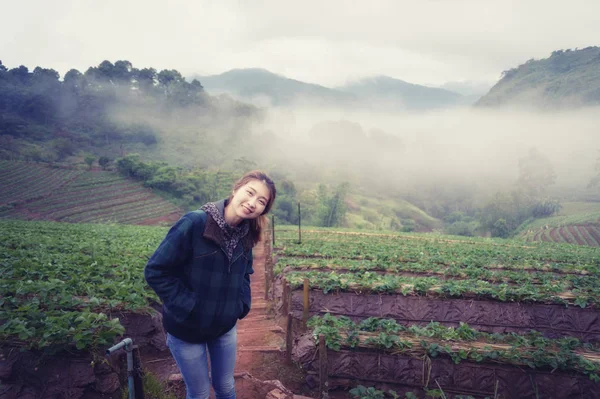 Turistické žena v jahodové farmě doi angkhang horách Asie — Stock fotografie