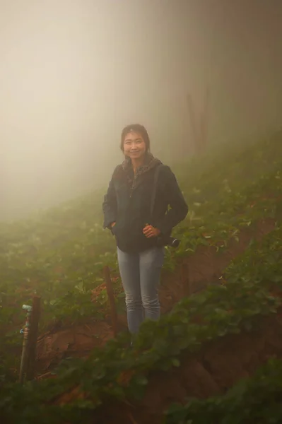 Asia turystycznych Kobieta w farmie truskawek na górze doi angkhang — Zdjęcie stockowe
