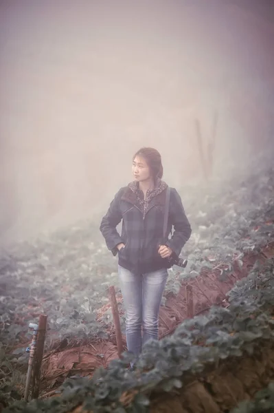 Asiatico turista donna in fragola fattoria su doi angkhang montagna un — Foto Stock