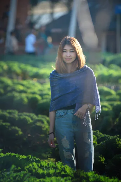 Πορτρέτο Του Ασία Τουριστικά Γυναίκα Στο Αγρόκτημα Λαχανικών Στο Angkhang — Φωτογραφία Αρχείου