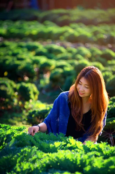 Asia turist kvinna på vegetabiliska gård på angkhang mountain Thaila — Stockfoto