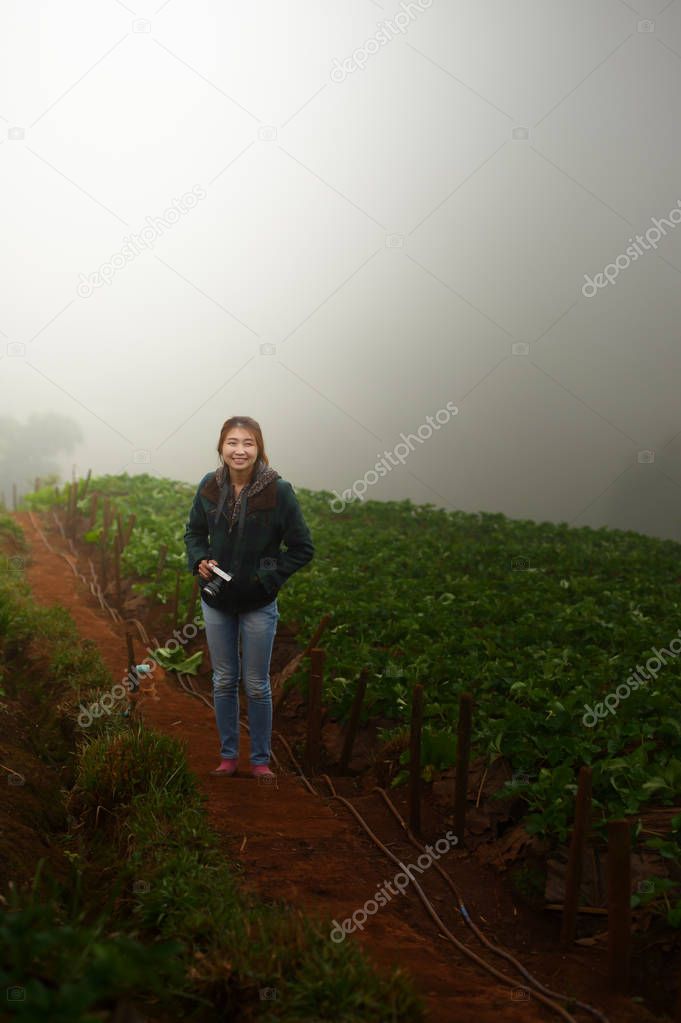 asia tourist woman in strawberry farm on doi angkhang mountain at chiangmai thailand
