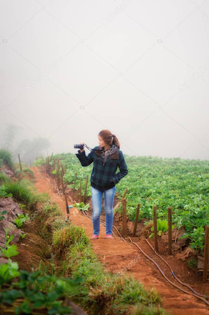 asia tourist woman in strawberry farm on doi angkhang mountain a