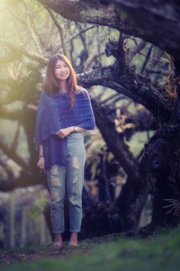 erik ağacı Parkı'nda DOI angkhang dağ üzerinde Asya güzel kadın 