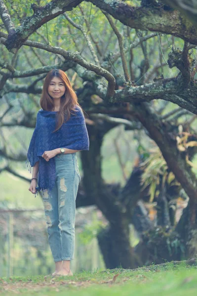 Ázsia gyönyörű nő a szilvafa park doi angkhang Mountain, — Stock Fotó