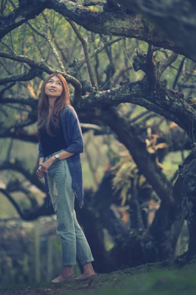 Piękna kobieta Azji na Śliwa park w doi angkhang mountain — Zdjęcie stockowe