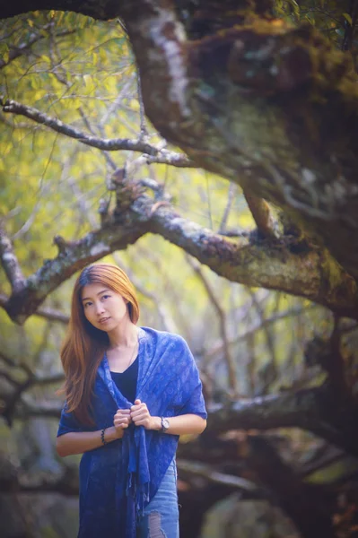 Asie belle femme sur prunier parc à doi angkhang montagne , — Photo