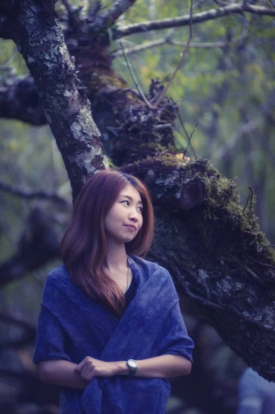 Ásia bela mulher no ameixa árvore parque no doi angkhang montanha , — Fotografia de Stock