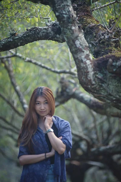 Ásia mulher de pé na ameixa jardim doi angkhang montanha thailan — Fotografia de Stock