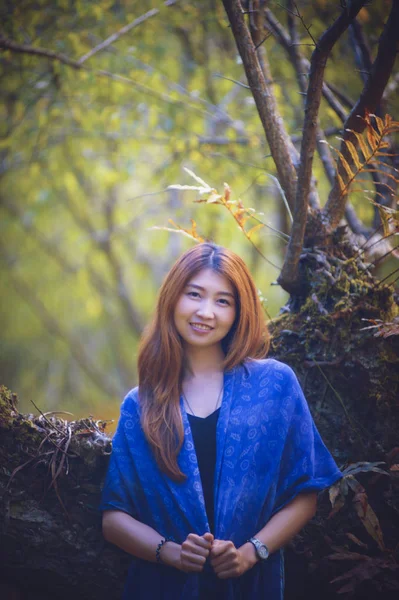 Ázsia gyönyörű nő a szilvafa park doi angkhang Mountain — Stock Fotó
