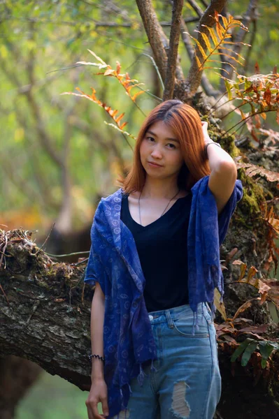 Krásná žena Asie na švestka parku na hoře doi angkhang, — Stock fotografie
