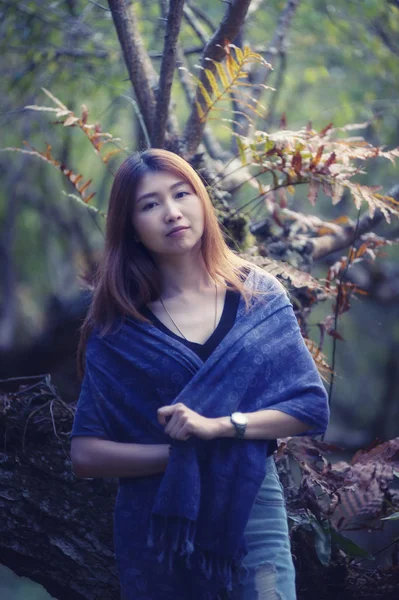 asia beautiful woman on plum tree park at doi angkhang mountain