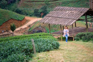Asian tourists woman on tea plantation farm at doi angkhang moun clipart