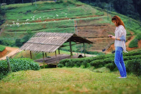 Kobieta azjatyckich turystów na farmie plantacji herbaty w doi angkhang moun — Zdjęcie stockowe