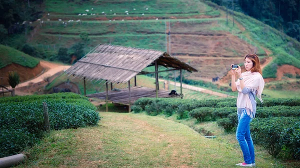 Asya turist kadın DOI angkhang yarış, çay plantasyon çiftlikte — Stok fotoğraf