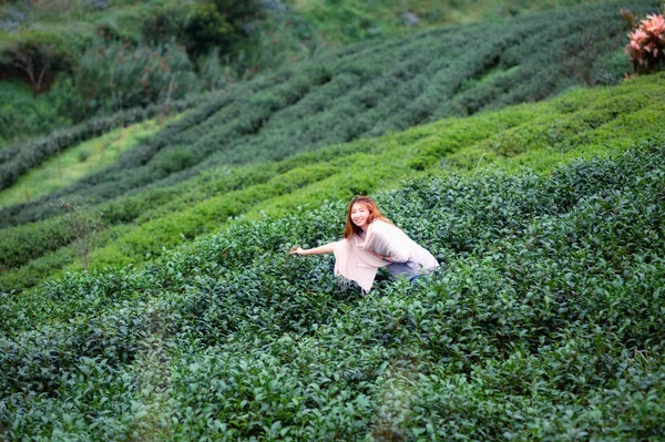 Portretul Turiștilor Asiatici Femeie Punctul Vedere Tea Garden Doi Angkhang — Fotografie, imagine de stoc